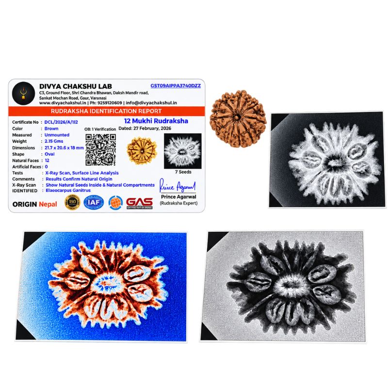 Labradorite Elephant Figure (2)