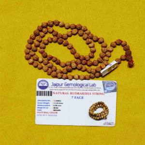 Abhimantrit 7 Mukhi Rudraksha Mala