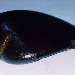 IMG_20200222_150345_compress32