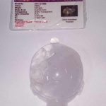 IMG_20200919_200722_compress19