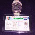 IMG_20201122_150241_compress17