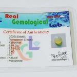 IMG_20210126_193545_compress44