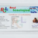 IMG_20210203_163959_compress48
