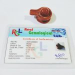 IMG_20210203_165647_compress12