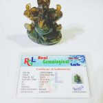 IMG_20210203_180907_compress19