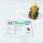 IMG_20210203_184929_compress2